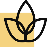 Style de vie de luxe